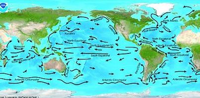 التيار المحيطي معلومات  حقائق